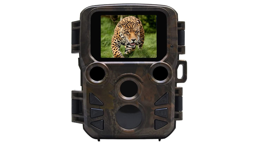 Camera de chasse : Guide d'achat, Tests, Avis et Comparatif 2024
